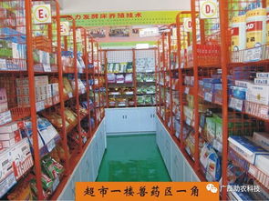 發(fā)酵床生態(tài)養(yǎng)牛全鏈條技術賦能 廣西助農(nóng)公司一站式解決方案